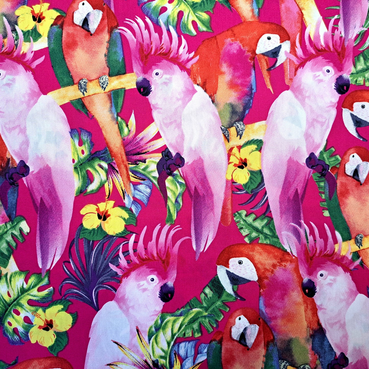 Bright Birds