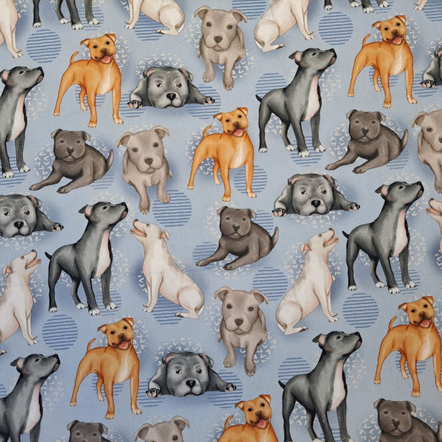Dogs In Blue