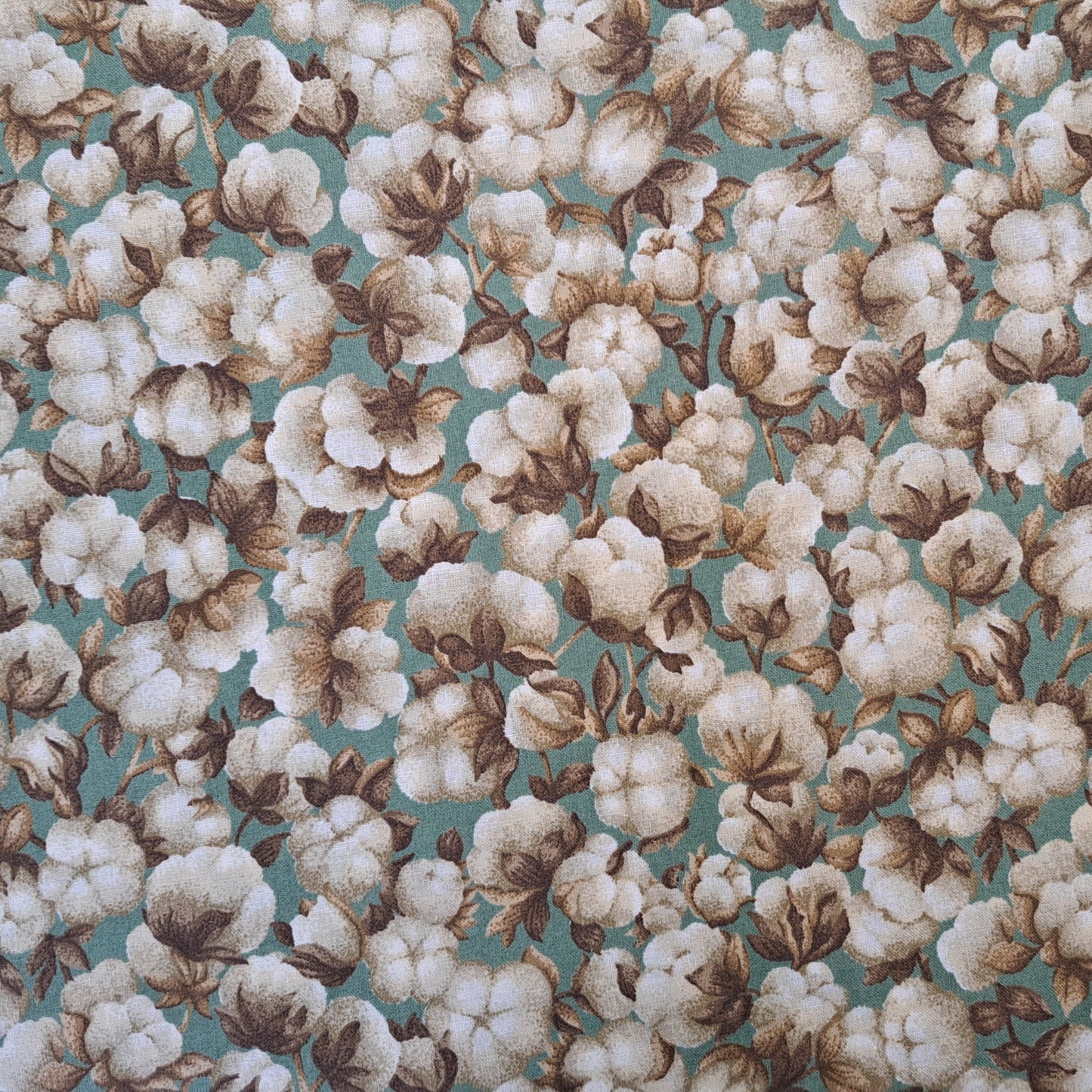Cotton Fields