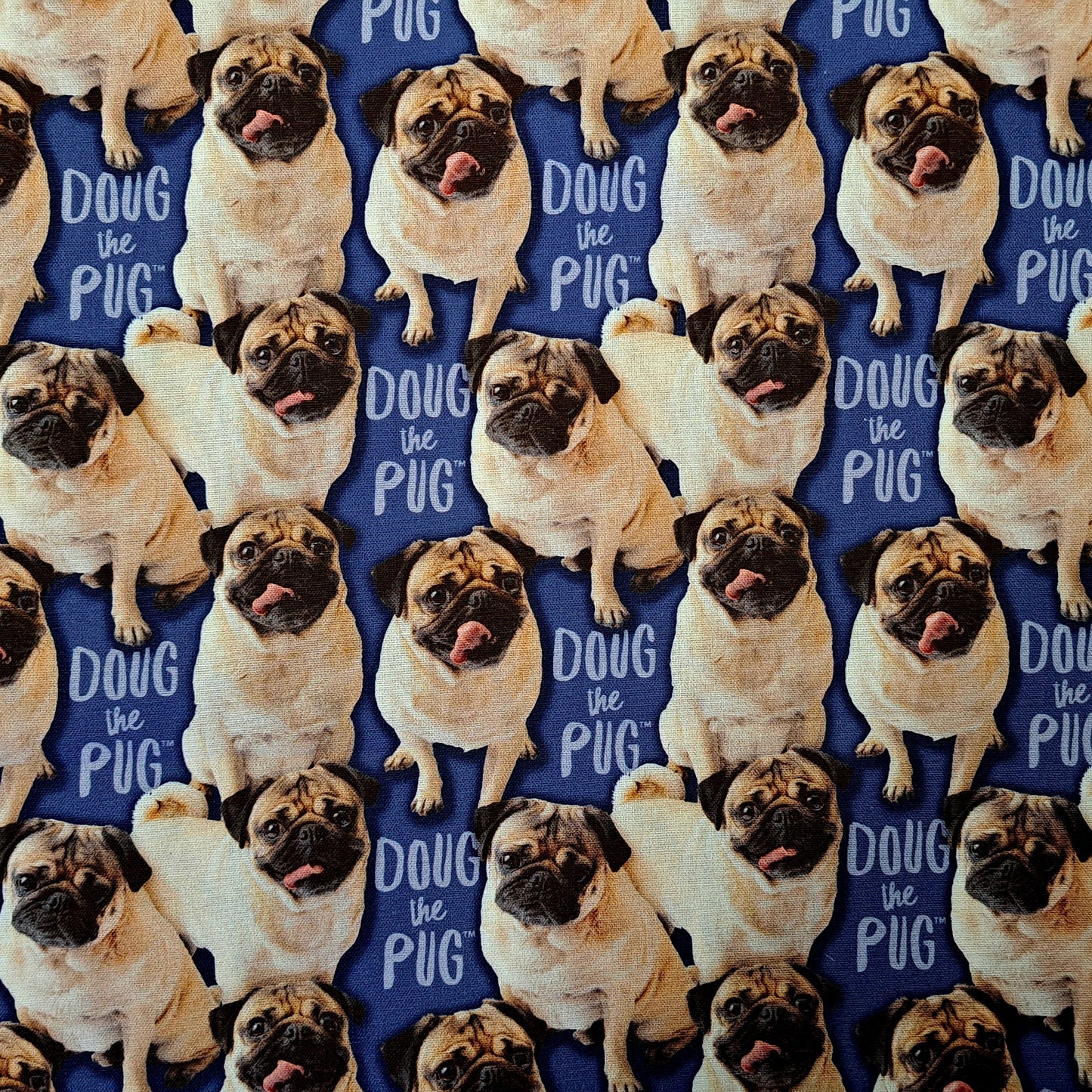 Doug the Pug