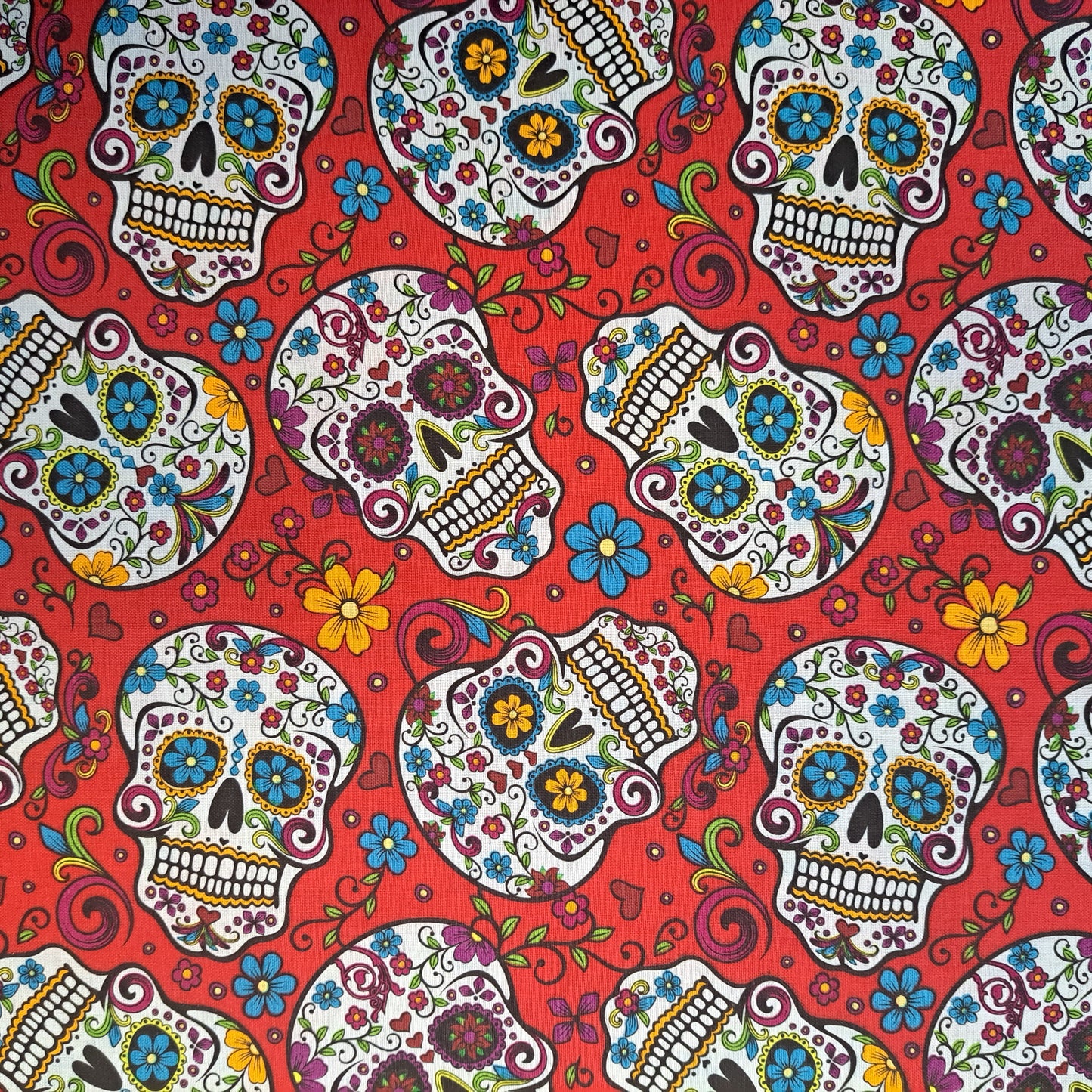 Patterned Skull On Red