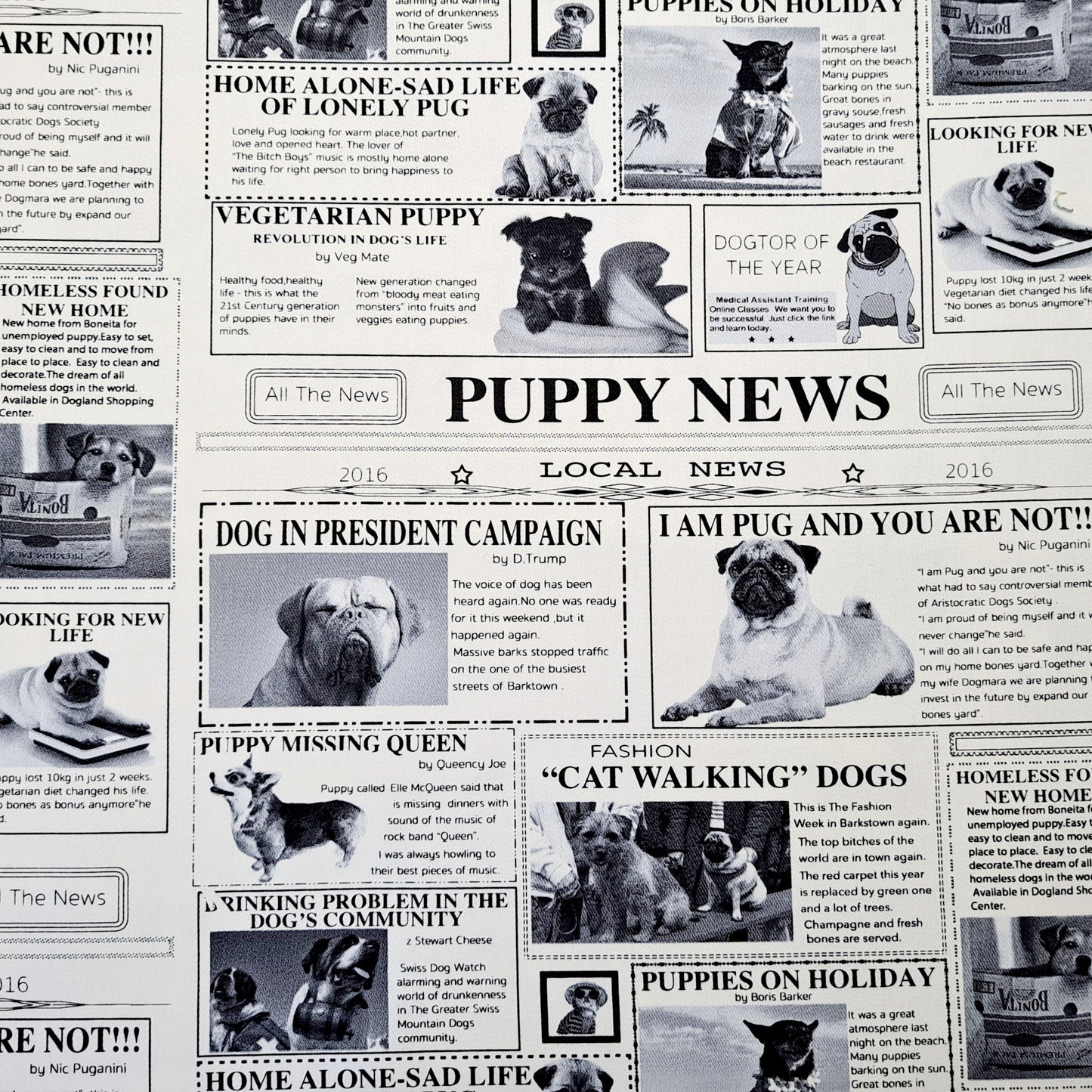 Puppy News