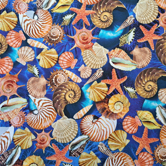 Sea Shells